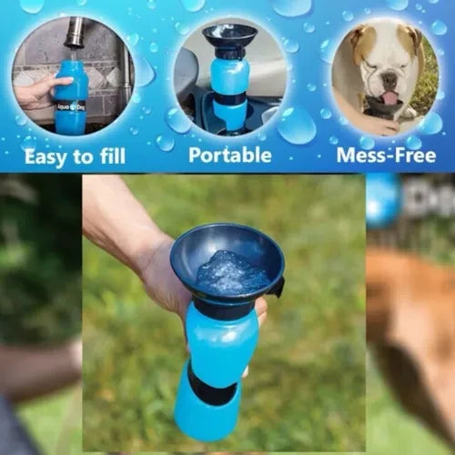 El Mejor Termo para Mantener el Agua y Alimento de tu Mascota Frescos y Saludables