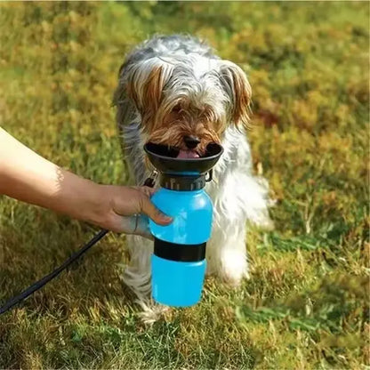 El Mejor Termo para Mantener el Agua y Alimento de tu Mascota Frescos y Saludables