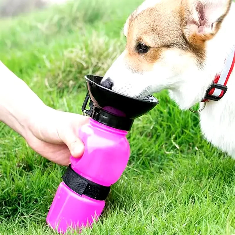 El Mejor Termo para Mantener el Agua y Alimento de tu Mascota Frescos y Saludables